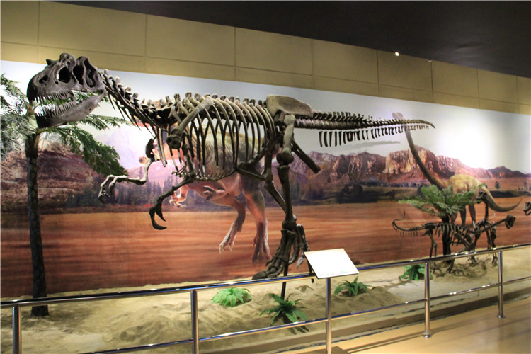 泰國曼谷恐龍博物館