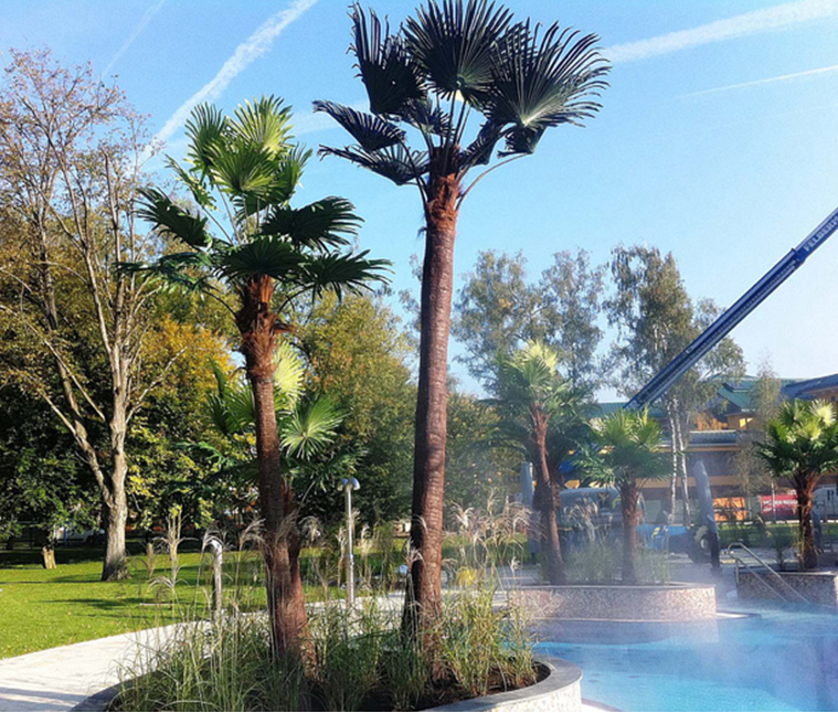 奧地利溫泉水療中心棕櫚樹